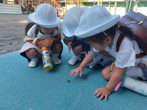 虫みーつけた☆