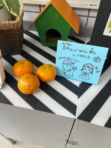 年中組　収穫体験『みかん狩り🍊』