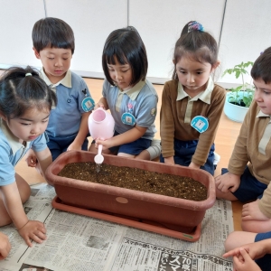 大きくなーれ☆彡