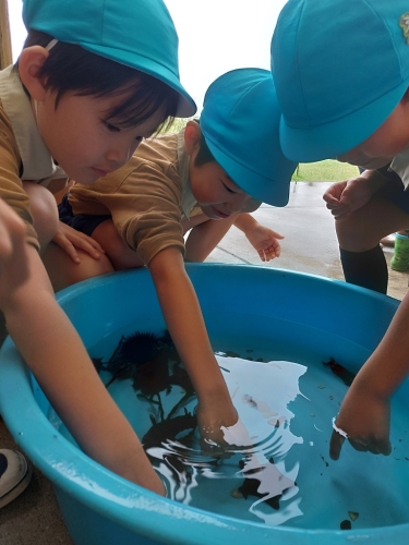 観音崎自然博物館に行ってきました☆