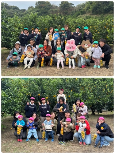 10月31日☀みかんがり